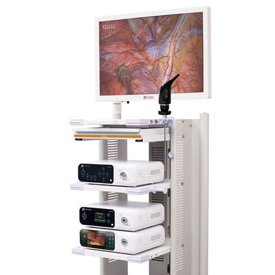 Torre médica DJSXJ-IIb do sistema da câmera do endoscópio de UHD 4K