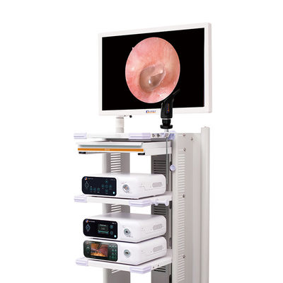 Câmera Laparoscopic médica completa do sistema 4k da câmera do endoscópio de HD