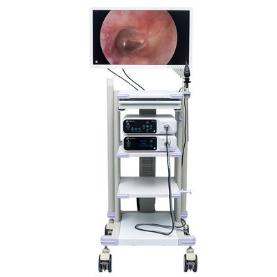Torre médica DJSXJ-IIb do sistema da câmera do endoscópio de UHD 4K
