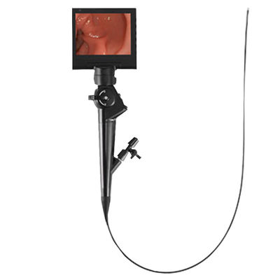 Endoscópio flexível e rígido DJV60900 de Videoscope portátil veterinário