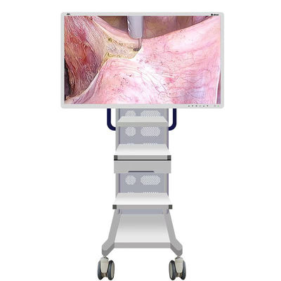 Câmera médica do monitor do endoscópio com tela 55inch