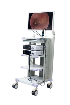 Câmera completa médica do endoscópio de HD para o Arthroscopy OTORRINOLARINGOLÓGICO cirúrgico de Hysteroscopy da ginecologia da laparoscopia